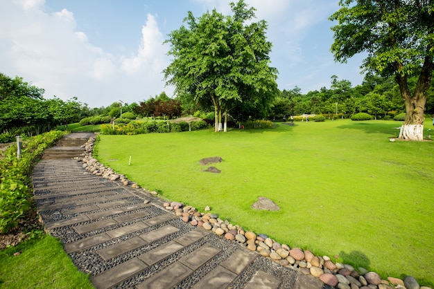 Grassland landscape and greening environment park background