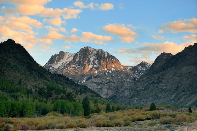 Free photo grassland and snow mountain with cloud in yosemite.