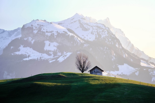 Free photo grassy field with a house near a tree and a snowy mountain