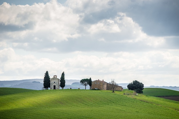 Free Photo grassy field with trees and buildings in the distance under a cloudy sky