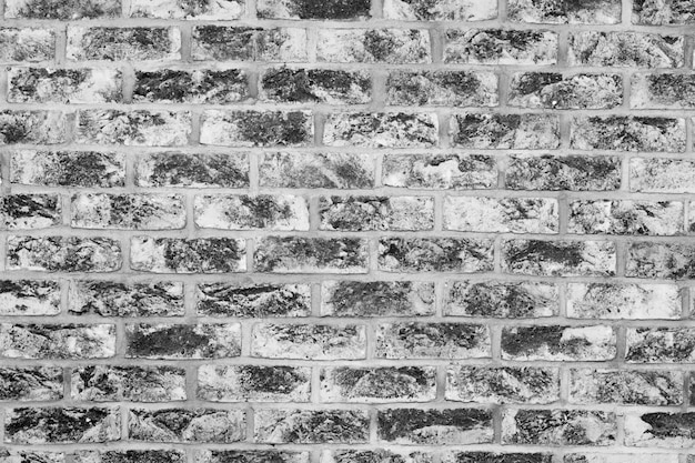 Free Photo gray bricks texture