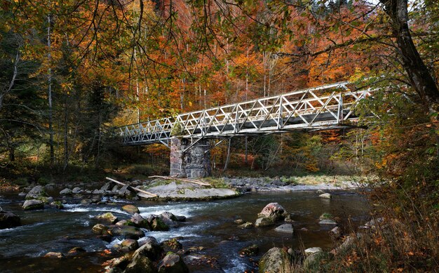 Gray bridge over water