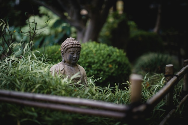 Free Photo gray buddha near statue near green plants