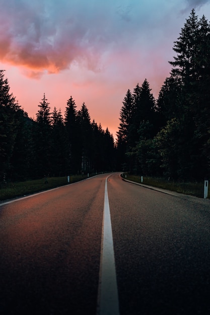 Gray concrete road between green trees under cloudy sky during daytime