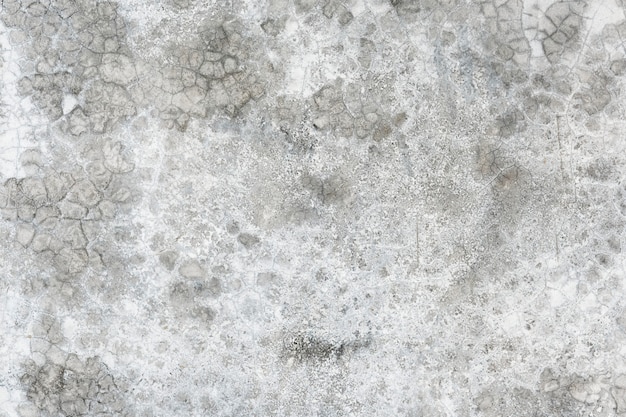 Gray concrete wall