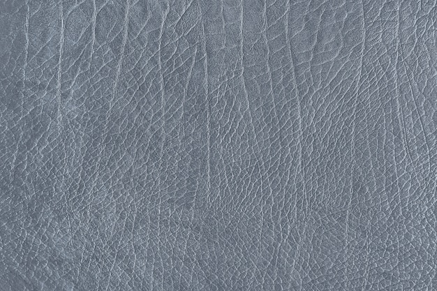 Gray leather grain texture