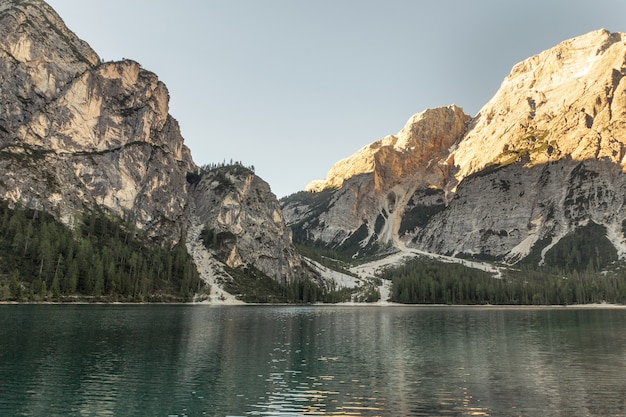 Free Photo gray rocky mountain and forest