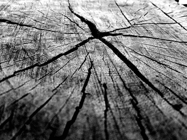 Free photo grayscale closeup of a wooden texture