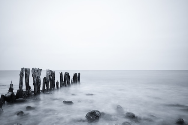 Free photo grayscale shot of a beautiful seascape under a cloudy sky in ostsee, germany