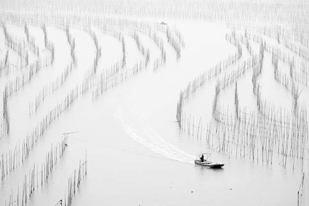 Grayscale shot of drying seaweed on bamboo poles coastal