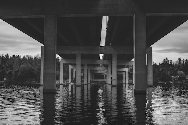 Free photo grayscale shot from below of the bridge over the water in seattle wa