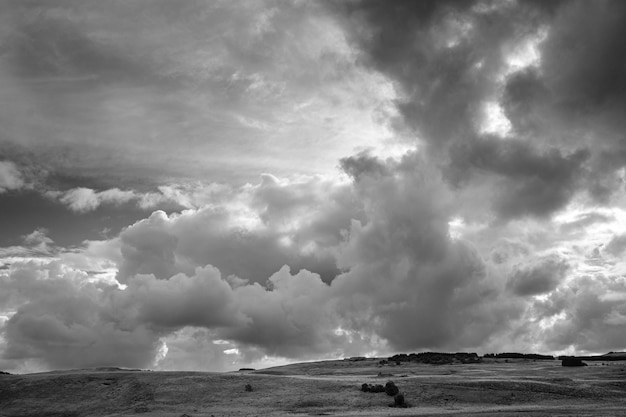 Grayscale shot of a landscape with bushes under dark storm clouds