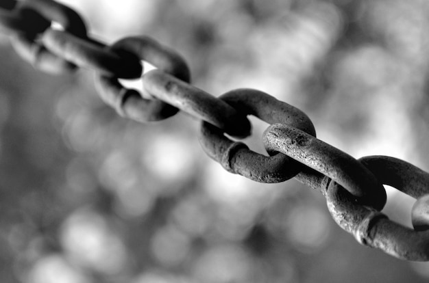 Free photo grayscale shot of rustic metal chain