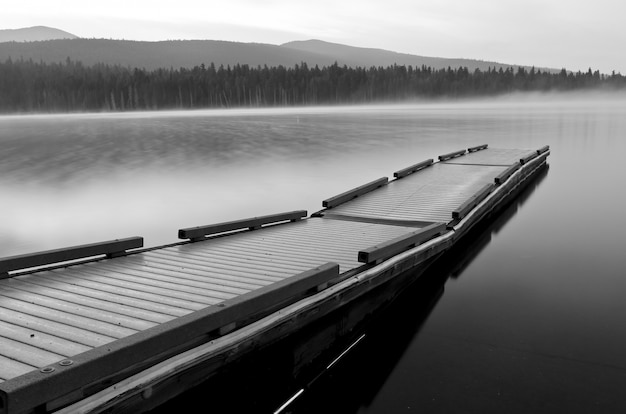 Free photo grayscale shot of a water boat dock in a lake surrounded by a forest