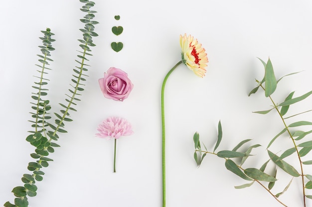 Free photo great composition with different flowers and floral hearts