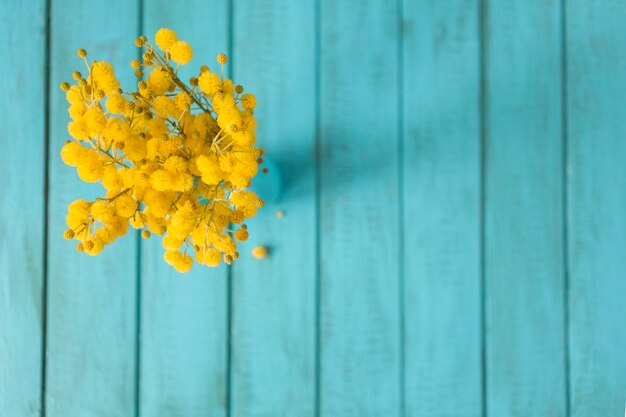 Great yellow flowers with blue planks background