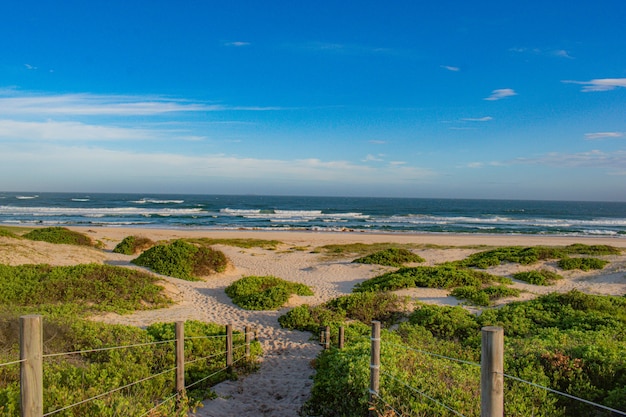 Free photo green beach under blue sky