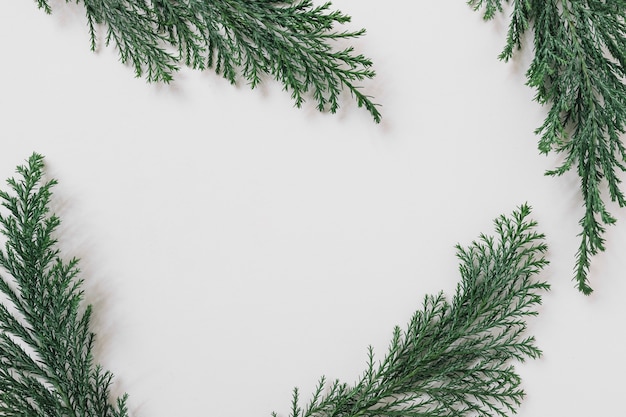 Green branches on white table