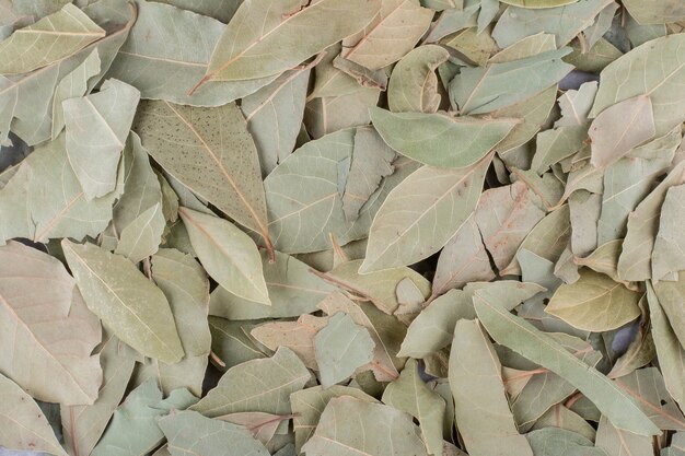 Green dry bay leaves on concrete surface