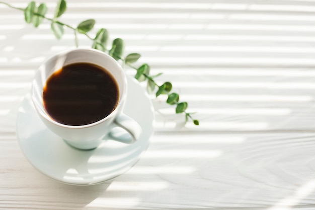 Green eucalyptus branch and tasty cup of coffee on white wooden desk