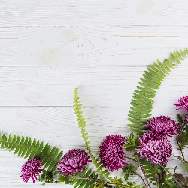 Free Photo green fern leaves with purple flowers on table