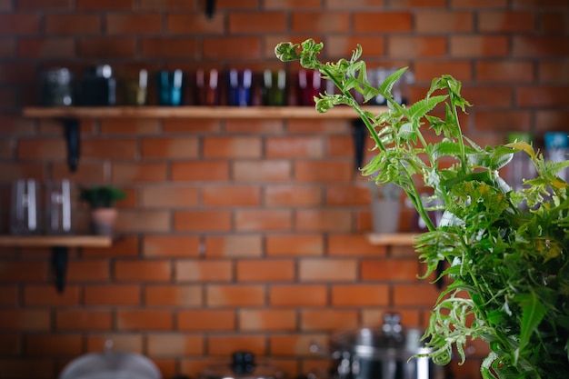 Green ferns come up on the kitchen floor.