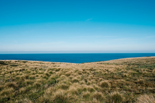 Free Photo green field and sea