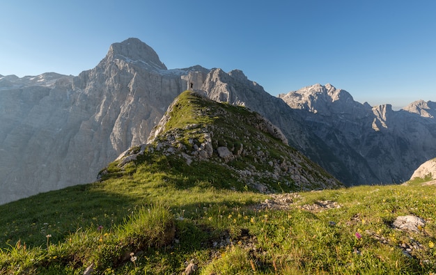 Free photo green floral mountain under blue sky at daytime