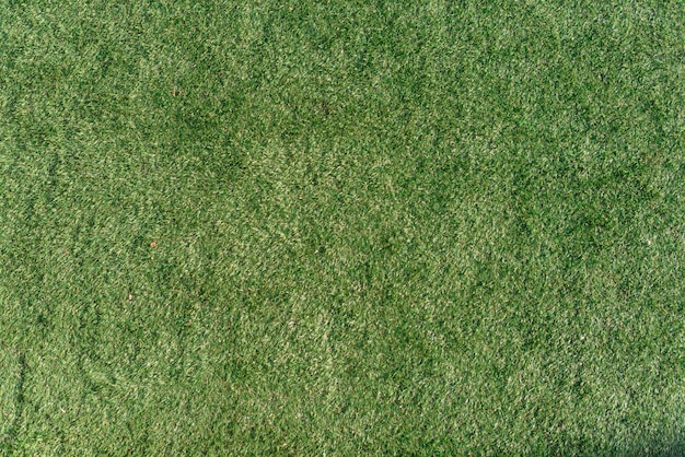 Green grass background