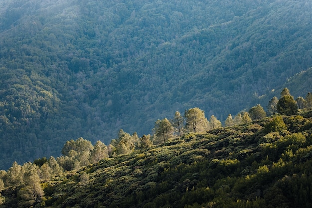 Green grass covered mountain during daytime