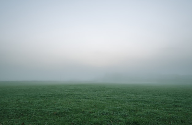 Green Grass Field Under White and Gray Sky