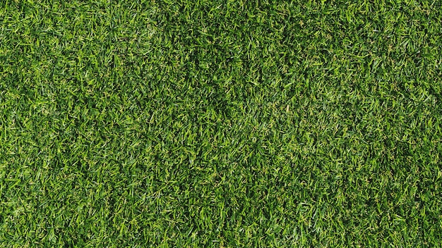 Free photo green grass texture background