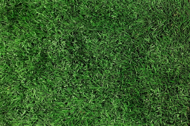 Free photo green grass texture close-up