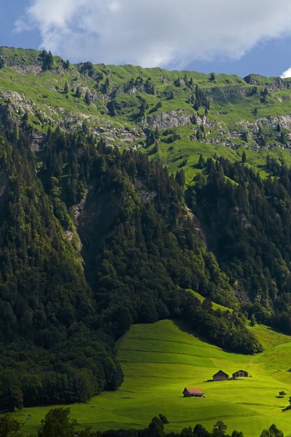 Green and gray mountains during daytime