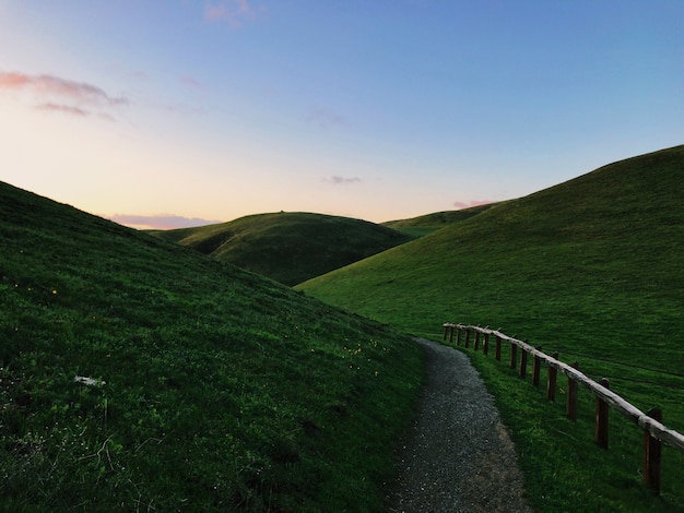 Free photo green hills landscape