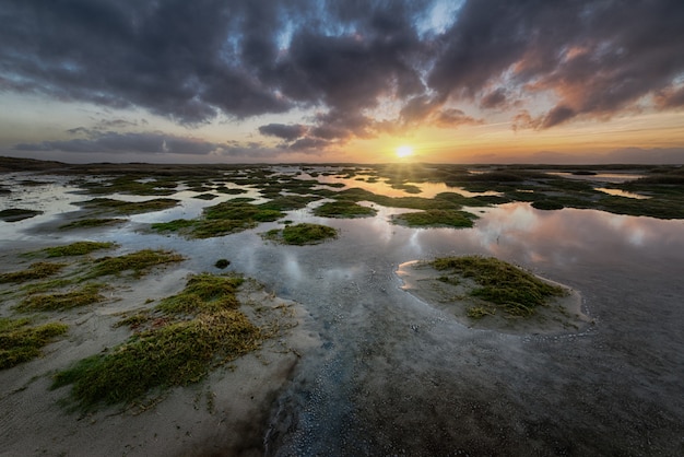 Green land formations in the ocean under the cloudy sunset sky