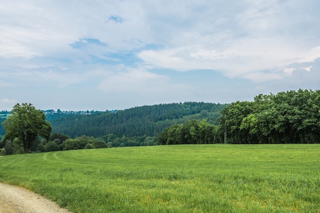 Free Photo green landscape under blue sky and white clouds