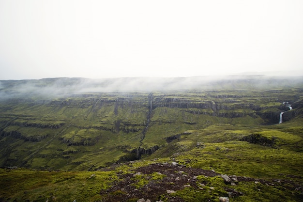 Free photo green landscape