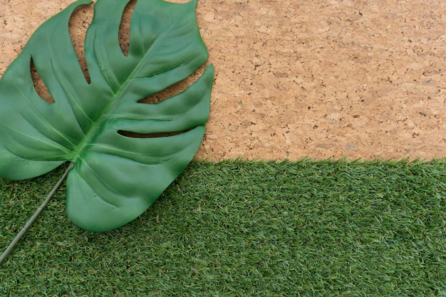 Green leaf on grass and cork background