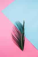 Free photo green leaf on pink and blue