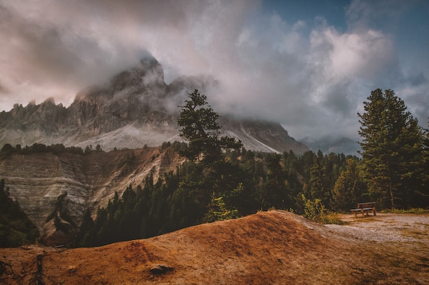 Free photo green leafed trees with mountain view