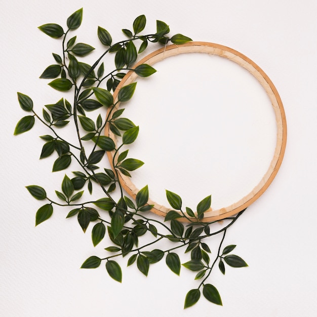 Free Photo green leaves decorated on wooden circle frame against white backdrop