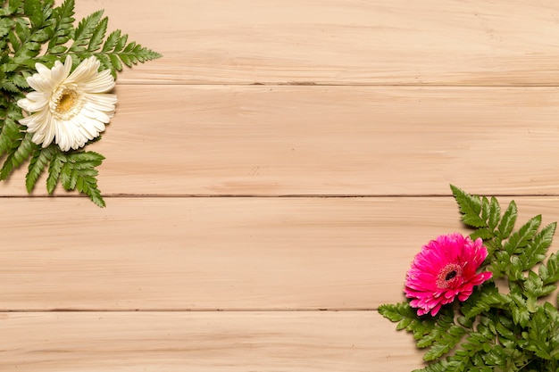 Green leaves of fern and colorful flowers on wooden surface