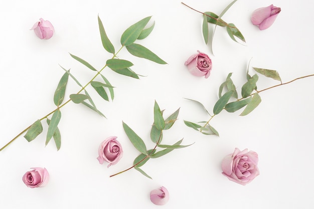 Free photo green leaves and pink flowers on white background