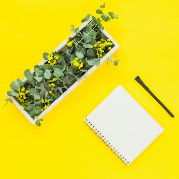 Free Photo green leaves in rectangular box; spiral notepad and pen on yellow backdrop