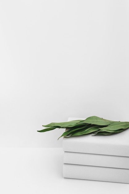 Free Photo green leaves on stacked of book against white backdrop