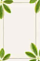 Free photo green leaves with golden rectangle frame