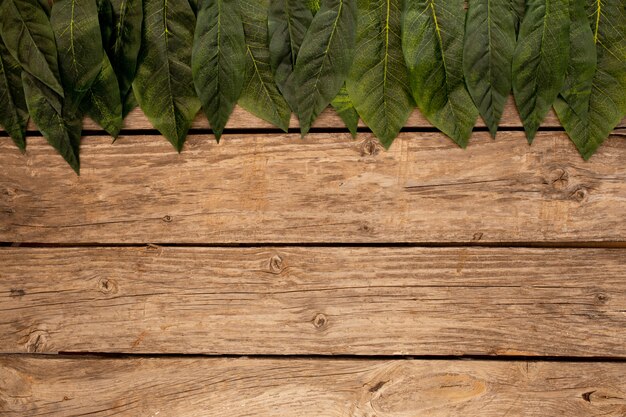 Green leaves  a wooden brown background