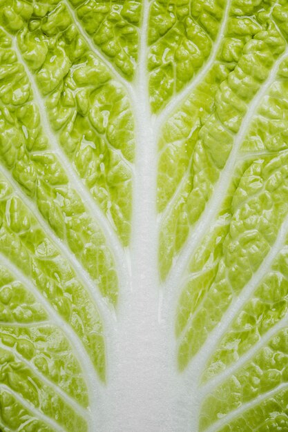 Green lettuce close-up background