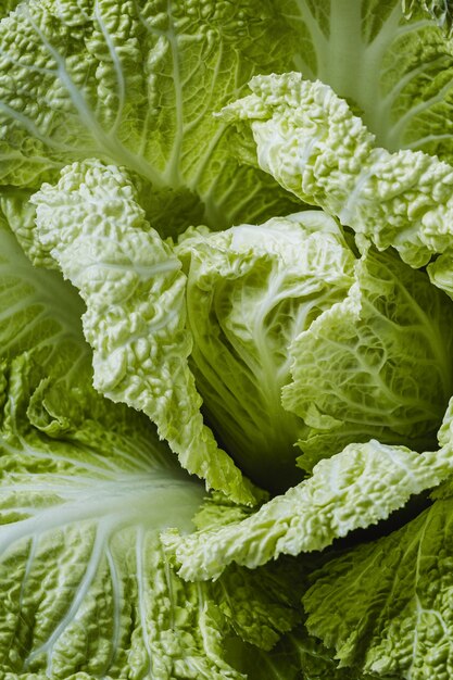 Green lettuce close-up wallpaper